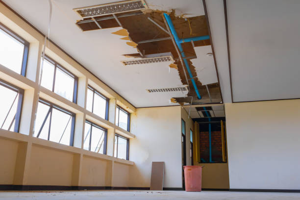 Best Flooded house restoration  in Jonesboro, GA
