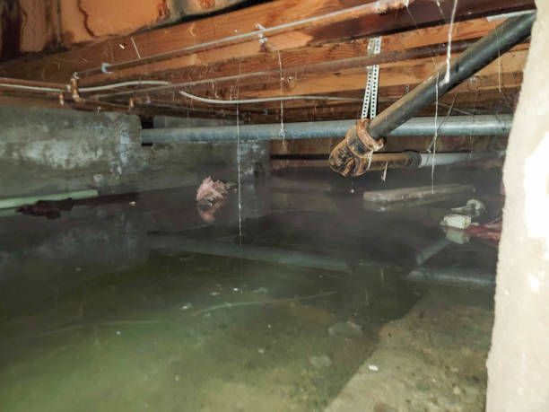 Best Emergency water damage restoration  in Jonesboro, GA