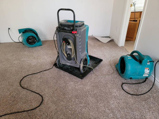 Best Mold removal after water damage  in Jonesboro, GA