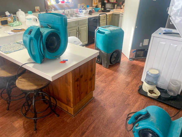 Best Water damage restoration services  in Jonesboro, GA