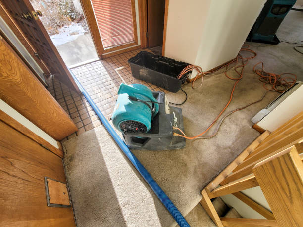 Best Water damage restoration near me  in Jonesboro, GA