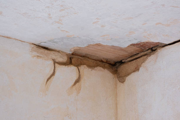 Best 24-hour water damage restoration  in Jonesboro, GA