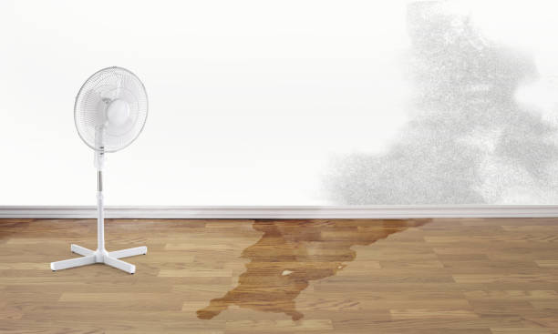 Best 24/7 water damage repair  in Jonesboro, GA