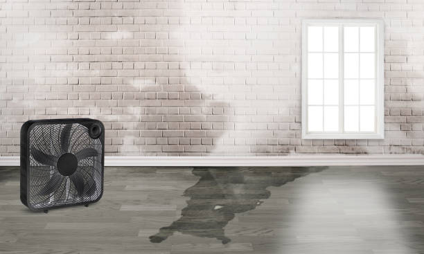 Best Water damage restoration near me  in Jonesboro, GA