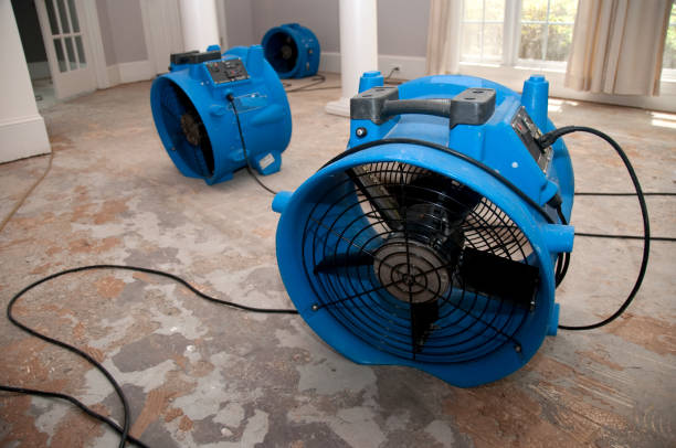 Best Basement water damage restoration  in Jonesboro, GA